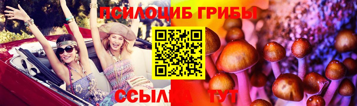 Псилоцибиновые грибы GOLDEN TEACHER Кунгур