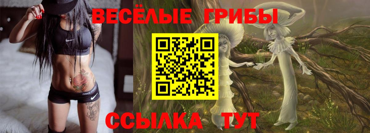 Кунгур  Псилоцибиновые грибы прущие грибы  Вход с VPN 